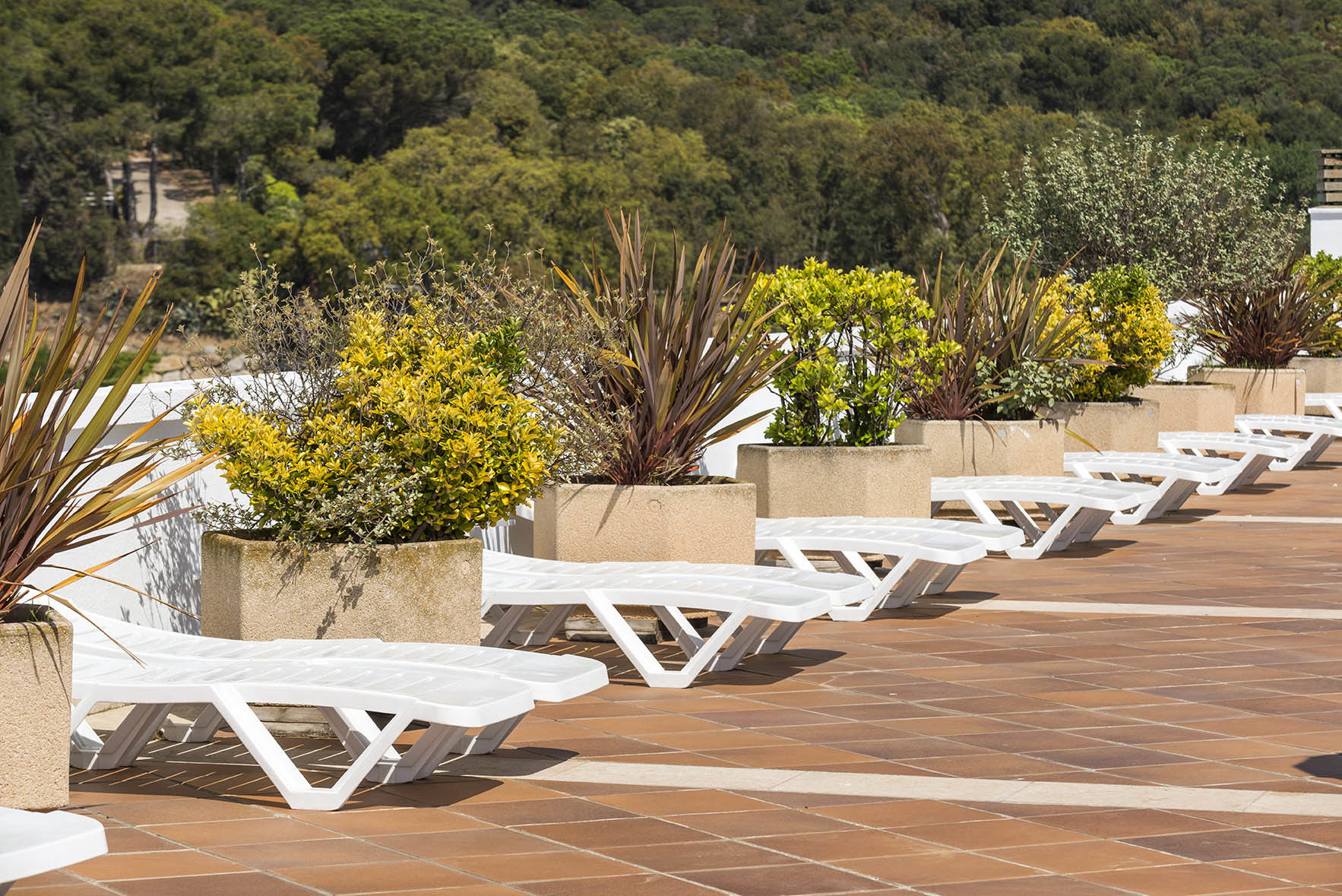 Apartaments Condado By Marsol Lloret de Mar Fasiliteter bilde